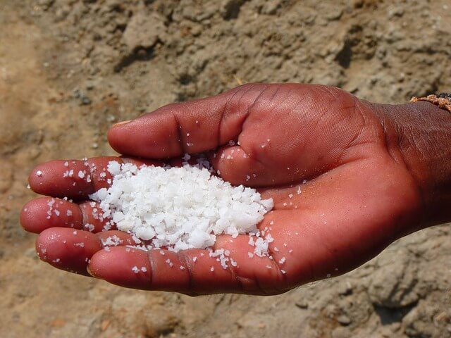 Hacer el fertilizante de sal de Epsom